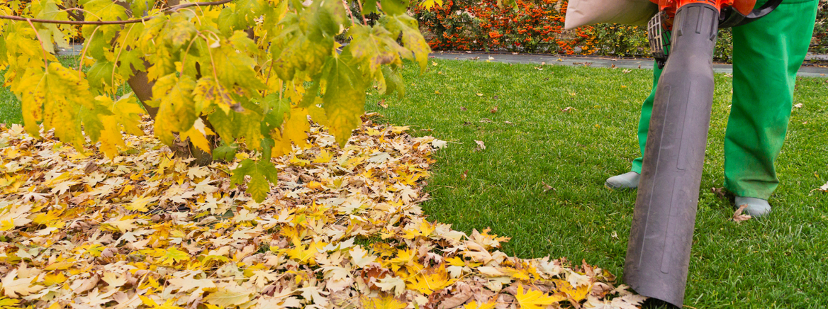 A person vacuuming a pile leaves in a yard